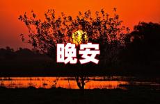 晚安的美好说说心情短语 晚安简单一句话说说心情短语