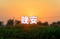晚安一句话唯美句子 晚安俏皮短句