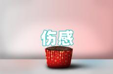 2023伤感句子句句心痛 2023年很现实伤感句子