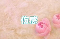 伤感最扎心的一句话 心情低落的伤感话语