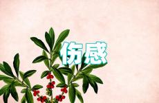 伤感又心痛的短句子 伤感句子表达心情短句