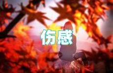 最伤感的话语发朋友圈 伤感朋友圈说说短句
