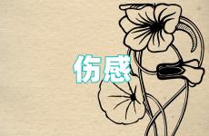 2023伤感的短句子个性签名 2023最经典伤感短句