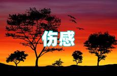 伤感让人看了心酸的句子 伤感的句子简短一句话