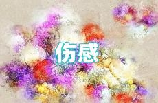 2023年伤感最走心的经典句子 2023最伤心的话
