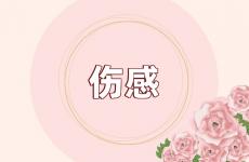 对感情已经伤透彻底说说 对感情遗憾伤感的句子