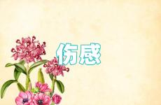 伤感话语短句子 伤感句子2023最新