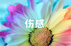 2023年最伤感的句子 2023伤感句子短句