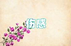 最伤心的句子经典语句 伤感句子唯美简短的