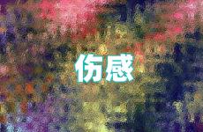 2023年的伤感说说 受伤的句子伤感说说