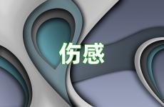 和对象吵架了伤感话 给对象发伤感的话
