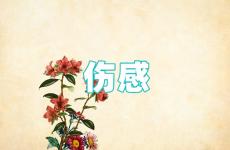 最伤感的句子心痛 伤感的经典句子一句话扎心