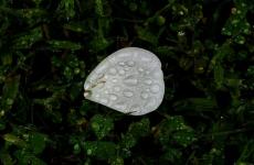 雨夜配一句话朋友圈 雨夜心情唯美的句子
