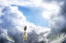 感悟生死的经典句子 感悟人生生死的经典句子