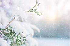瑞雪兆丰年的优美句子 瑞雪兆丰年的金句有哪些