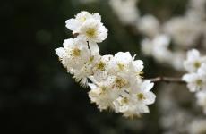 感悟人生的经典句子（精选必看43句）