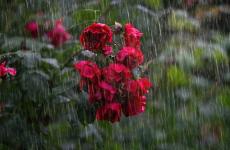 倾盆大雨发朋友圈短句（精选必看30句）