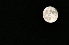 高情商夜晚发圈被秒赞的句子（精选必看34句）