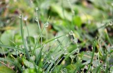 适合雨天发的朋友圈句子高情商（精选必看24句）