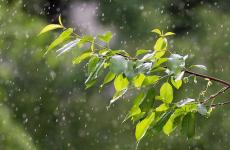 高情商下雨天发朋友圈（精选必看17句）