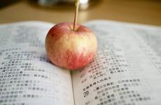 少年不知勤学苦,老来方知读书迟（精选必看20句）