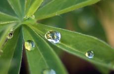 一场秋雨一场凉,一朝秋露一朝霜（精选必看20句）