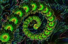 何事秋风悲画扇,人生若只如初见（精选必看9句）